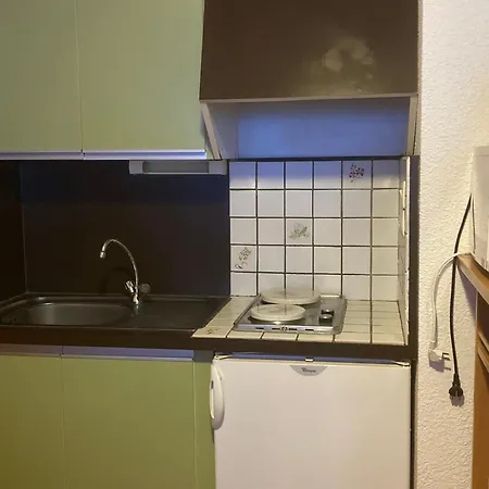 Confortable 4 Pers. Au Coeur De Super Besse, Acces Direct Aux Pistes - Fr-1-814-118 Apartment *